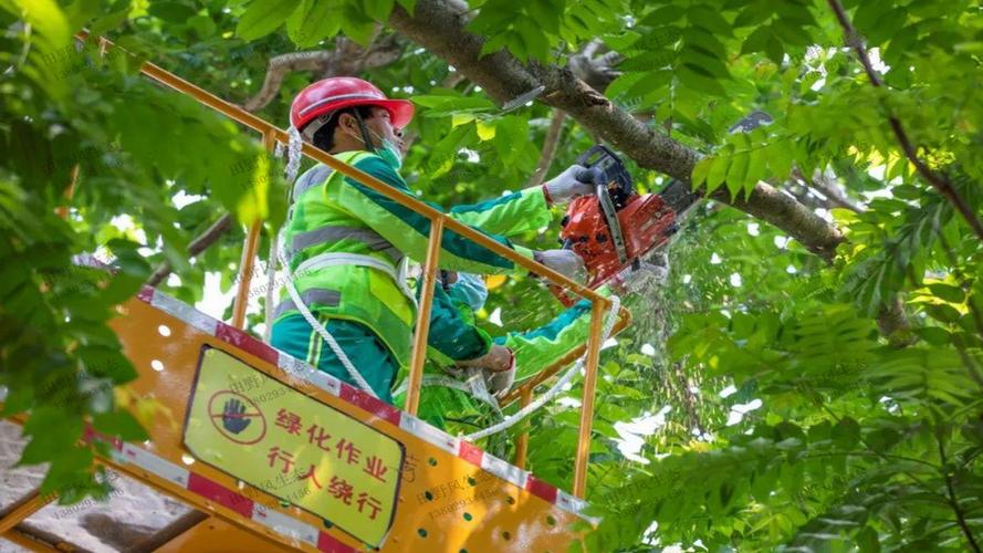 冷水江绿化市容管理事务中心