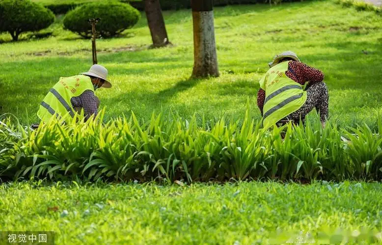 四川利景园林景观绿化工程