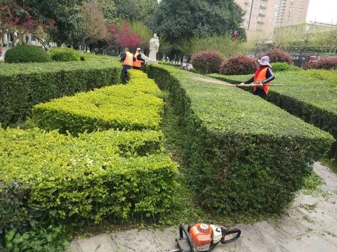 孝感公路绿化工程公司地址