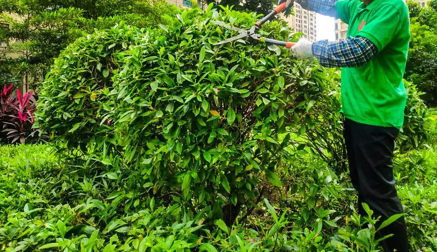 绿化工程割草机